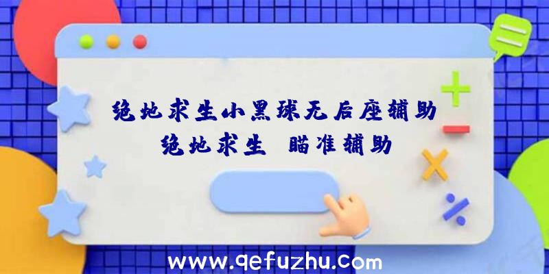 「绝地求生小黑球无后座辅助」|绝地求生